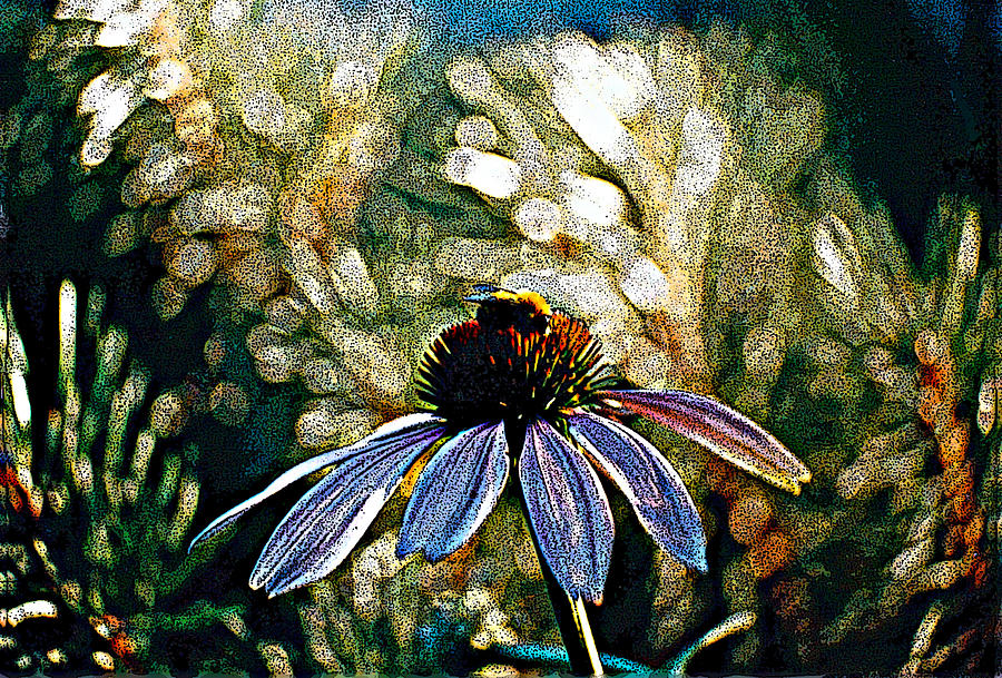 Coneflower With Bee Digital Art by R Thomas Brass