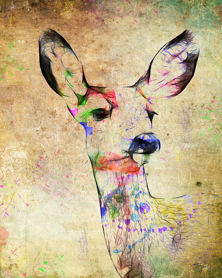 Deer Photograph - Colored Doe by Steve McKinzie