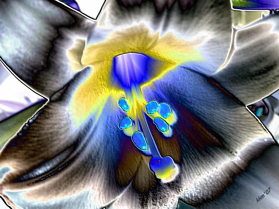 Colored Foil Lily Digital Art by Kathy K McClellan
