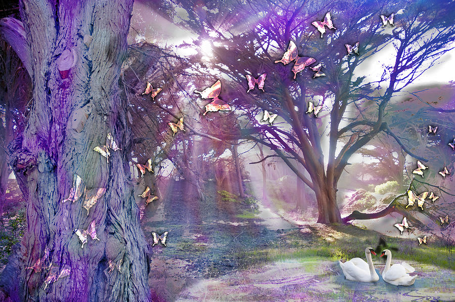 Butterfly Photograph - Colored Forest by MGL Meiklejohn Graphics Licensing