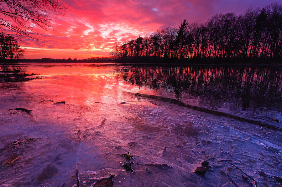 Colored Ice Photograph by Bryan Bzdula