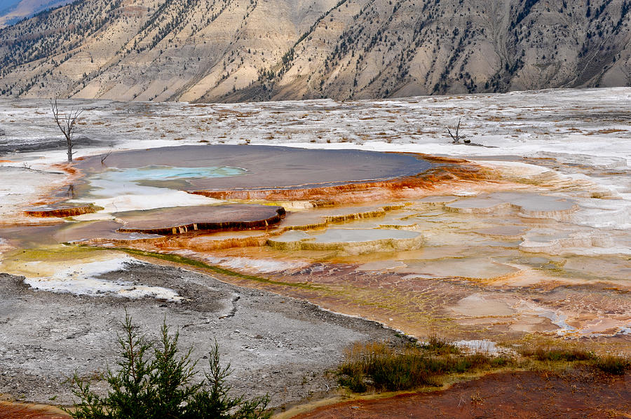 Yellowstone National Park Photograph - Colored Lake by Randy Giesbrecht