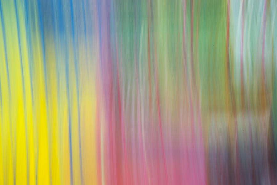 Colored Line Abstract Photograph by Susan Stone