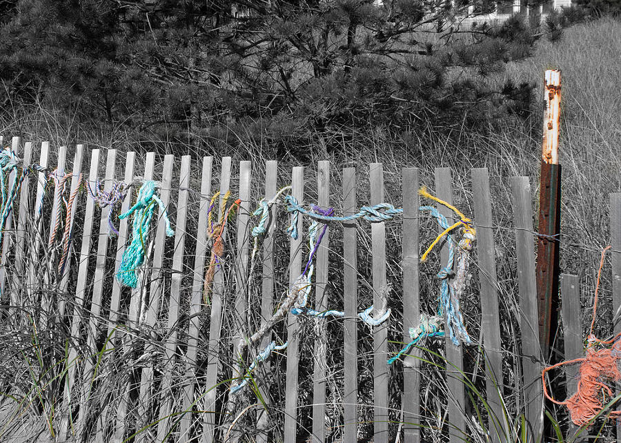 Colored Ropes - Ferry Beach Fence Photograph by Kirkodd Photography Of New England