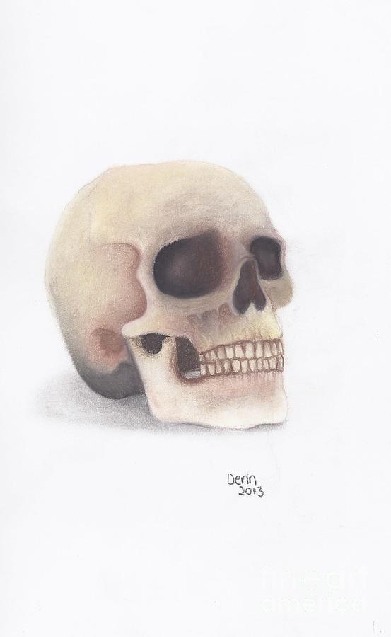 Skull Drawing - Colored Skull by Derin Baysal