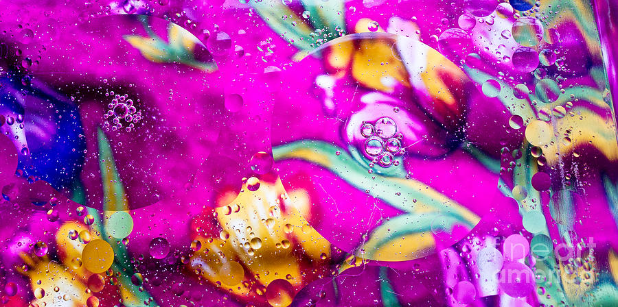Colorful Abstract of Oil and Water Photograph by Imagery by Charly