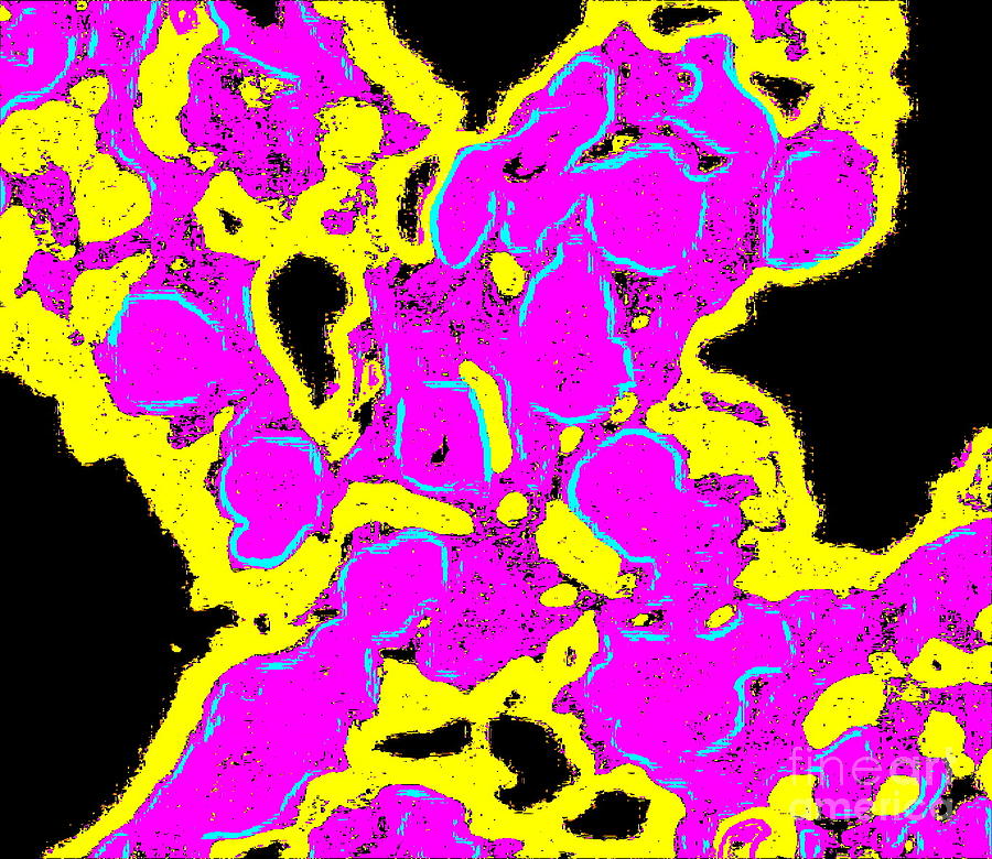 Bright Colors Digital Art - Colorful Abstract Pink Yellow Black No.237 by Drinka Mercep