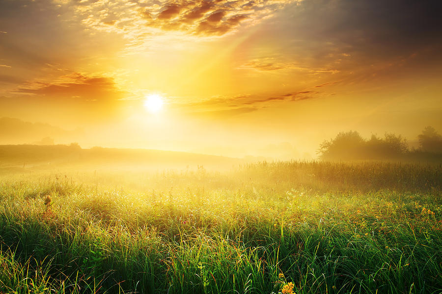 Colorful and Foggy Sunrise over Grassy Meadow - Landscape Photograph by Konradlew