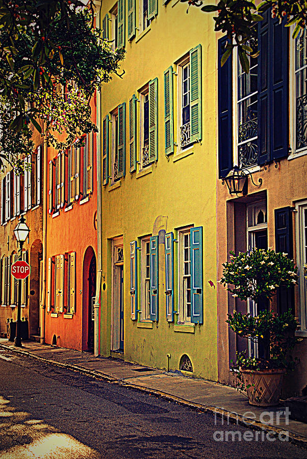 Flower Photograph - Colorful Architecture in Charleston by Susanne Van Hulst