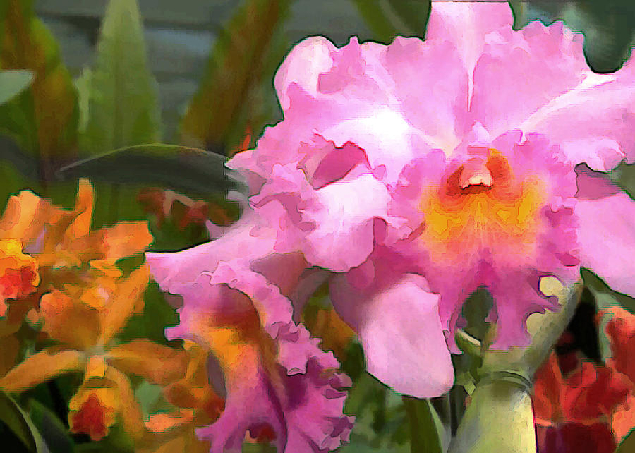 Orchid Painting - Colorful Assorted Cattleya Orchids by Elaine Plesser