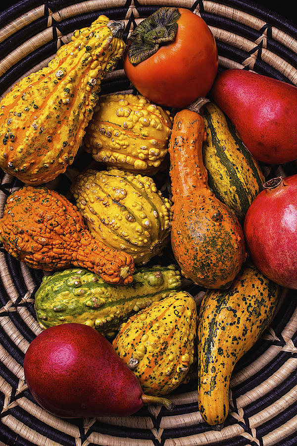 Fruit Photograph - Colorful Autumn Gourds by Garry Gay