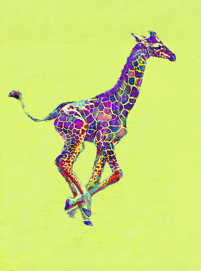 Giraffe Digital Art - Colorful Baby Giraffe by Jane Schnetlage