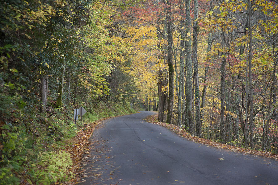 Colorful Backroads Photograph by Robert Camp
