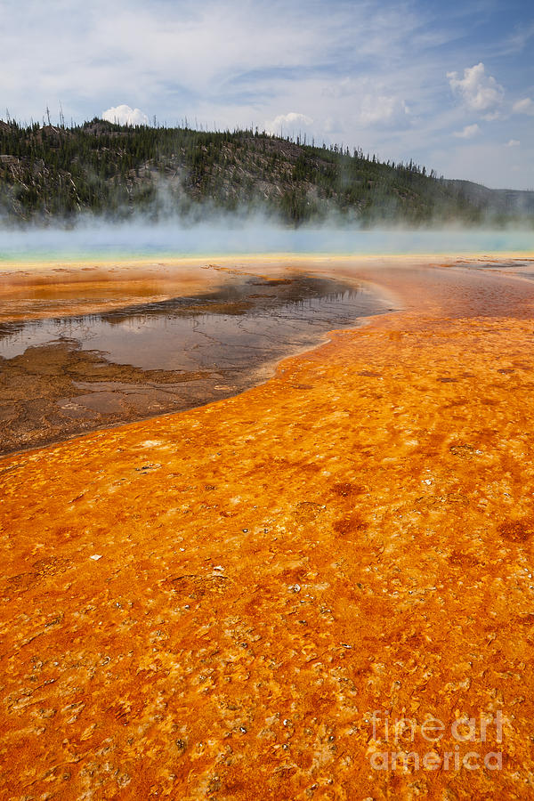 Colorful bacteria mat surrounding Grand Prismatic Spring Photograph by Bryan Mullennix