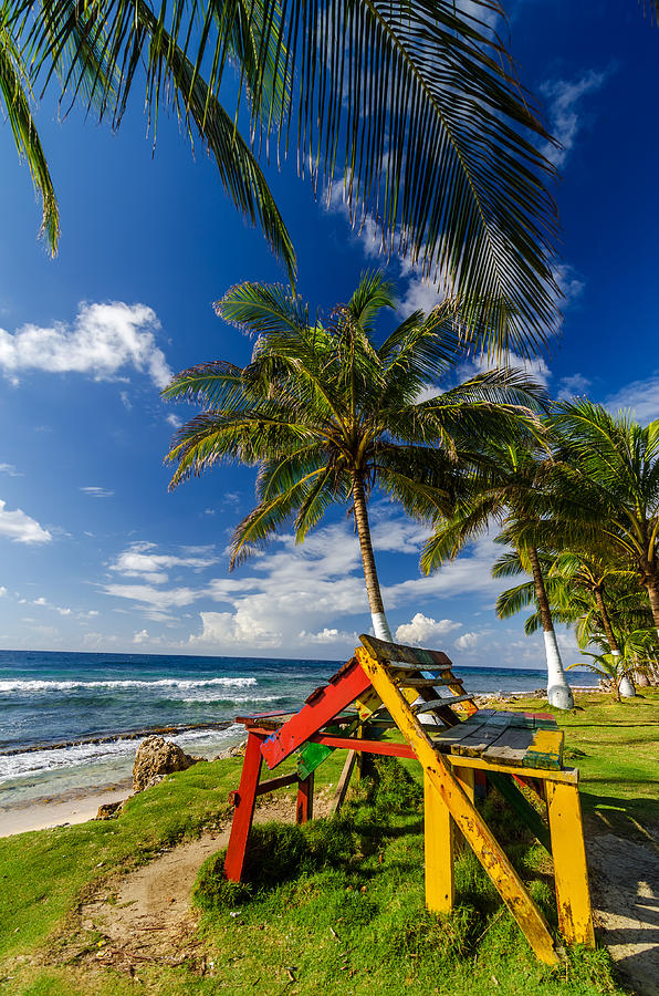 Colorful Bench On Caribbean Coast Photograph