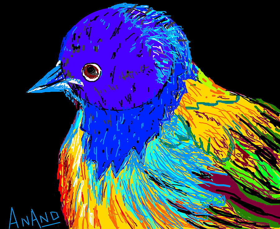 Cat Digital Art - Colorful Bird by Anand Swaroop Manchiraju