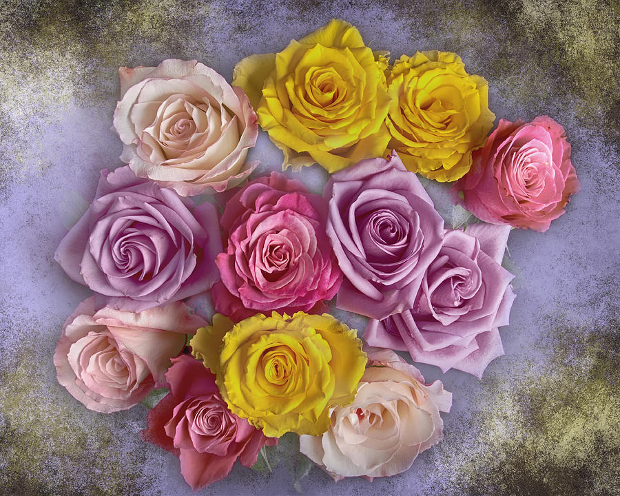 Colorful Bouquet Of Roses Photograph by James BO Insogna