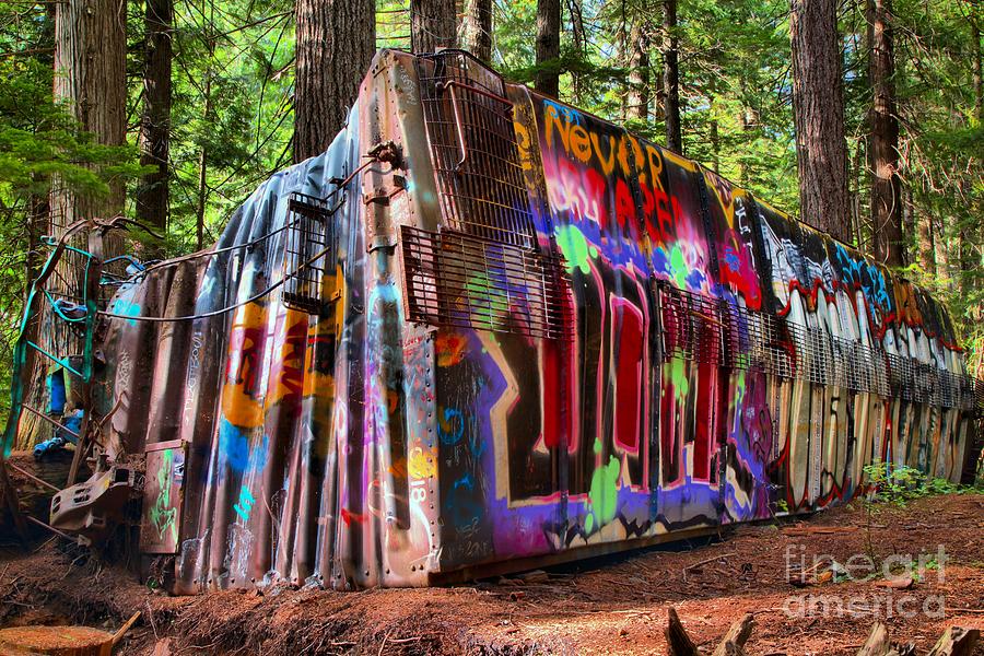 Colorful Box Car In The Forest Photograph by Adam Jewell