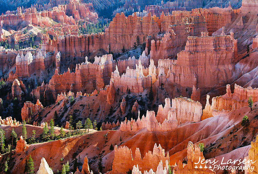 Colorful Bryce Canyon Photograph by Jens Larsen