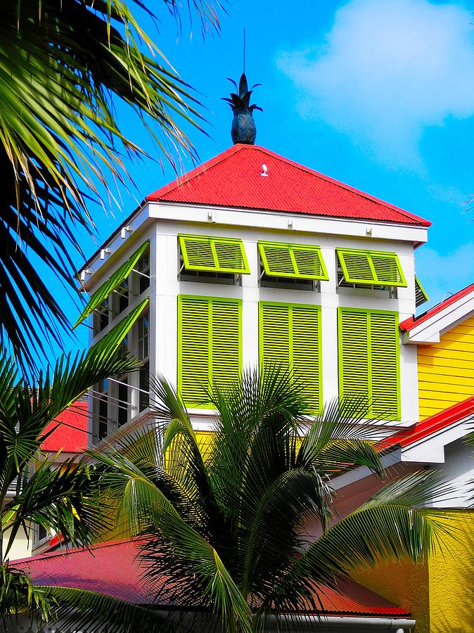 Tree Photograph - Lime  Red  Yellow  Building  Surrounded by Palm Trees by Kelly Mac Neill