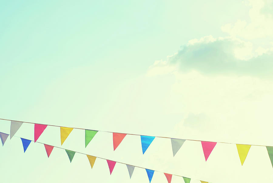 Colorful Bunting Photograph by Libertad Leal Photography