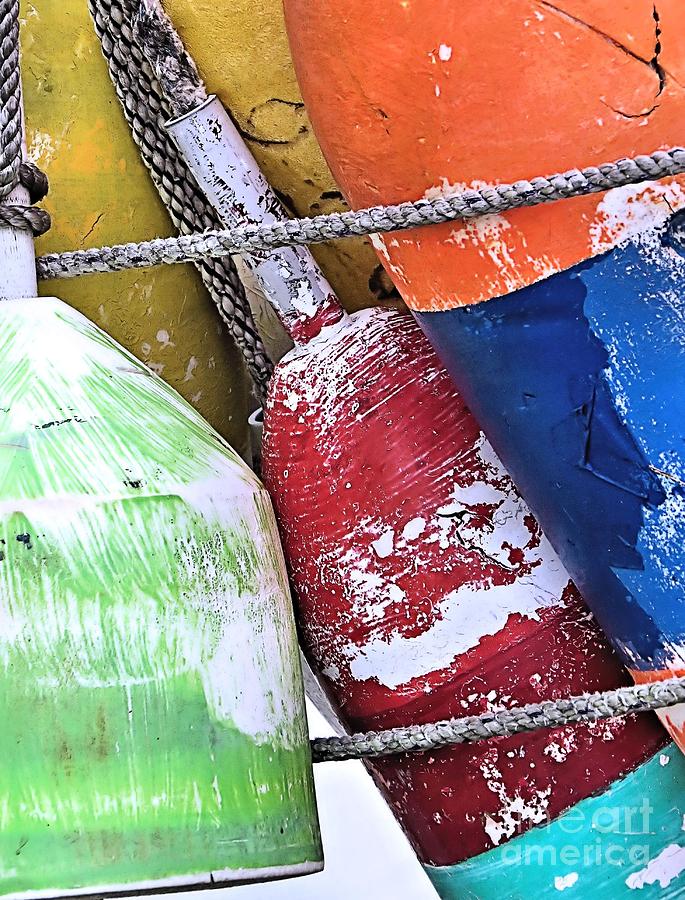 Colorful Buoys Photograph by Janice Drew