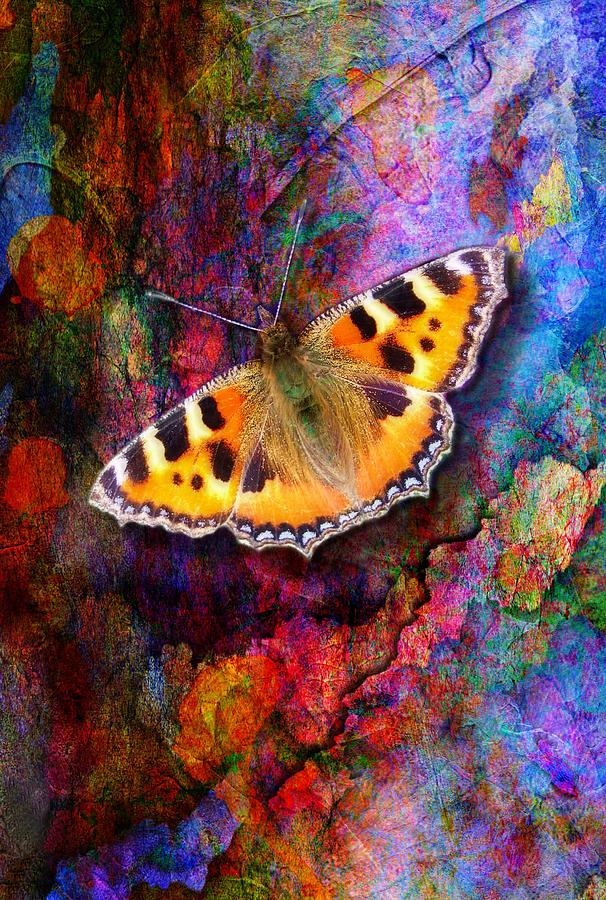 Colorful butterfly Digital Art by Lilia D