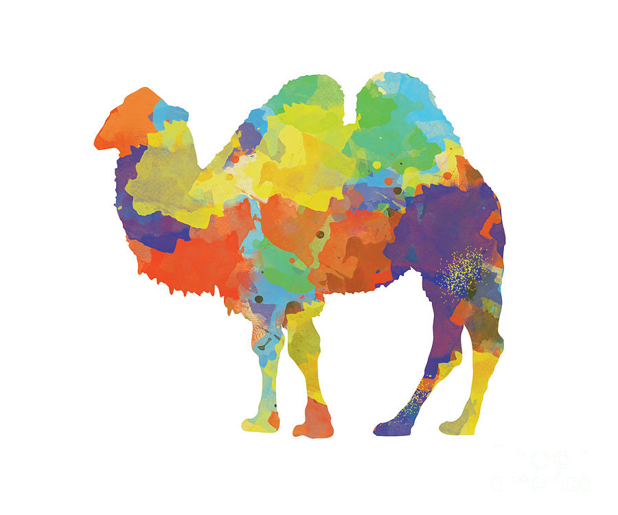 Camel Digital Art - Colorful Camel- Silhouette Print by Trilby Cole