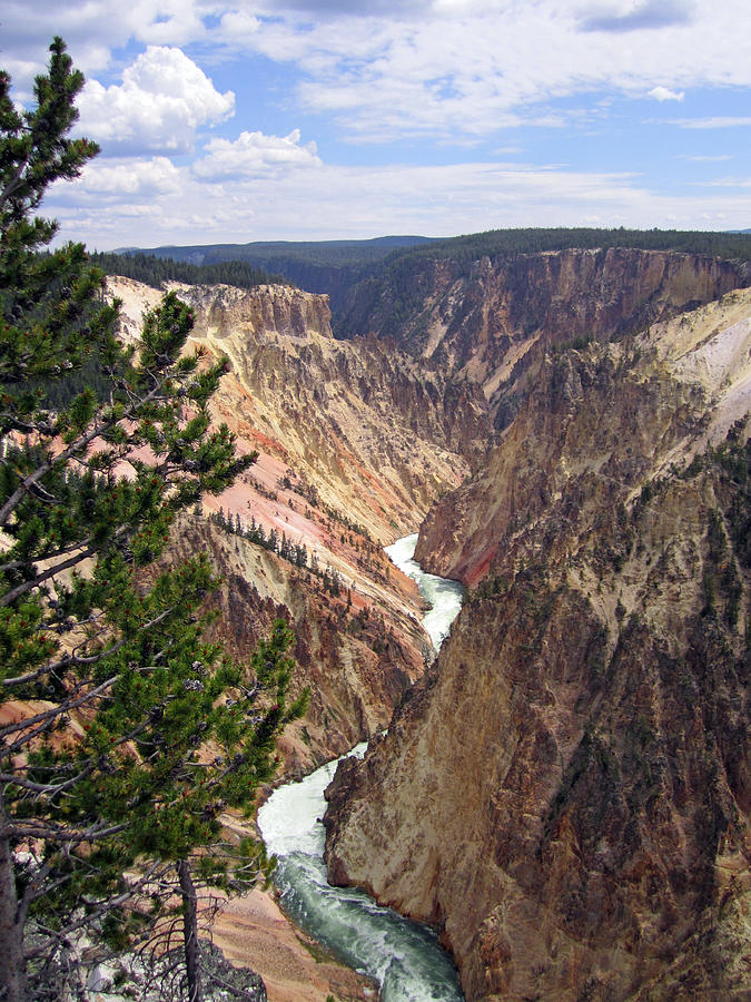 Yellowstone National Park Photograph - Colorful Canyon by Mike Podhorzer
