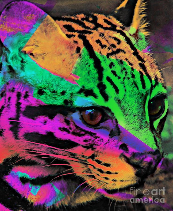 Up Movie Photograph - Colorful Cat by Kathleen Struckle