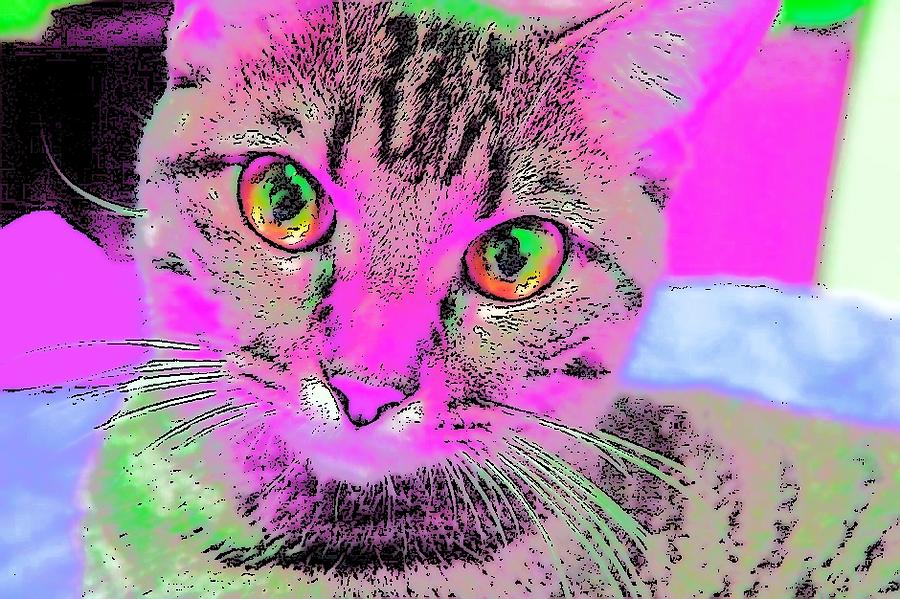 Dog Digital Art - Colorful Cat by Kathy Budd