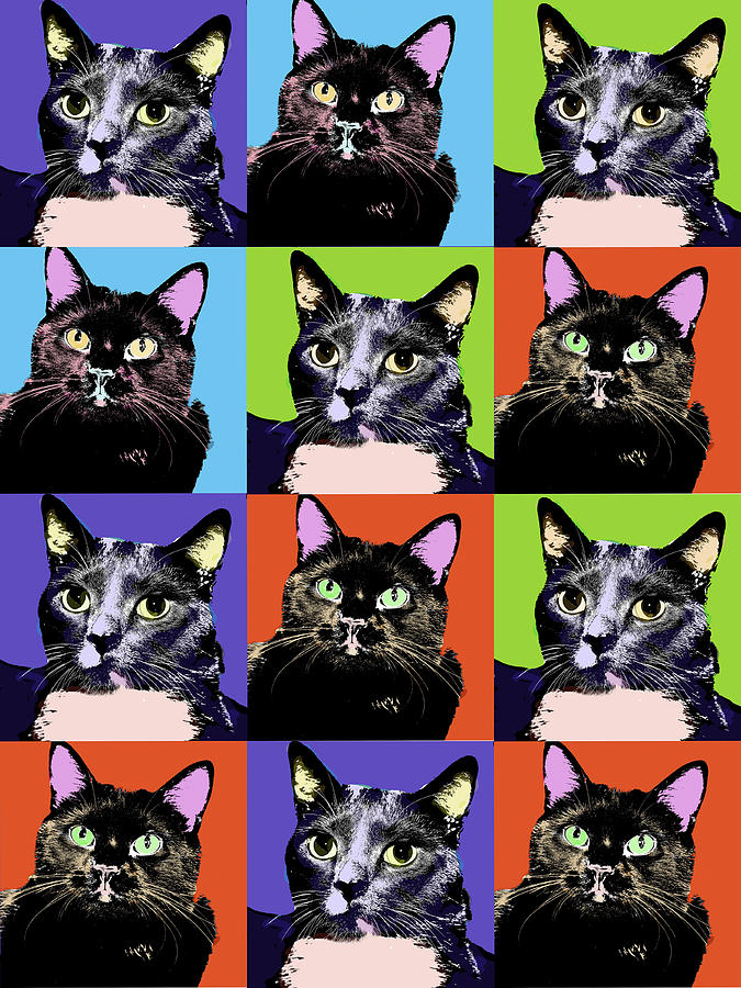 Colorful Cat Pop Art Digital Art by Susan Stone