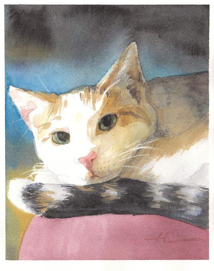 Colorful Cat Watercolor Portrait Drawing by Mike Theuer - Fine Art America