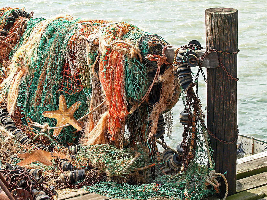 Colorful Catch - Starfish in Fishing Nets Photograph by Gill Billington ...