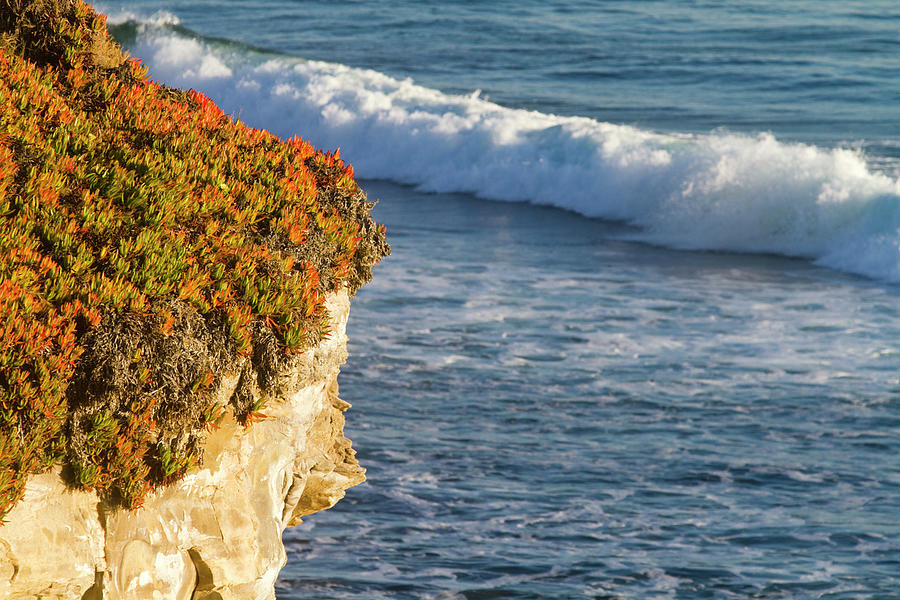 Colorful Cliffs And Wave Of Monterey Bay Photograph by Mark Miller Photos