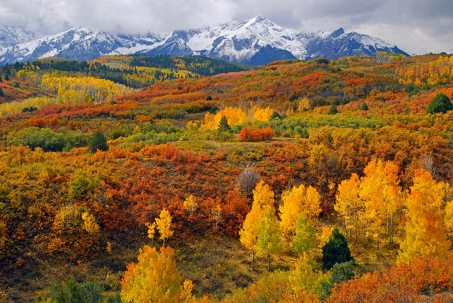 Colorful Colorado At It's Best Photograph by John Hoffman