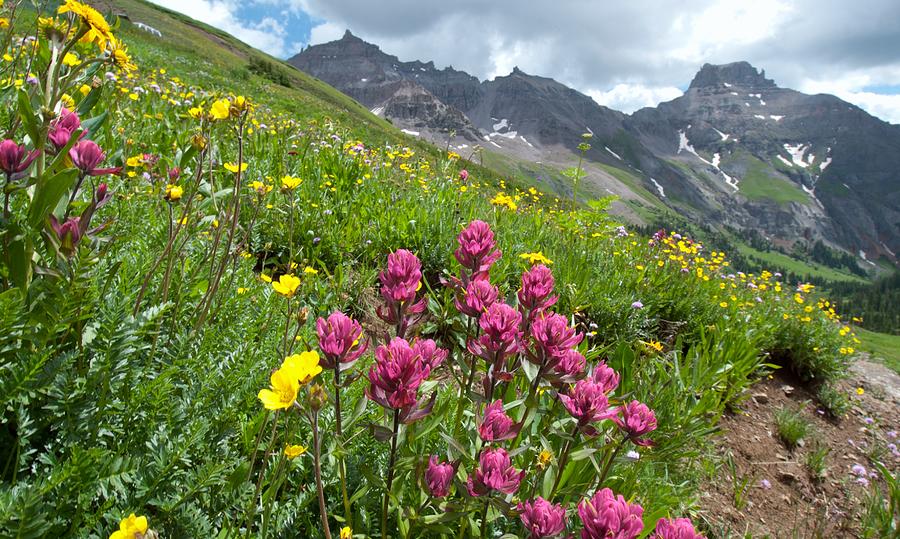 Colorful Colorado Summer Landscape Photograph by Cascade Colors