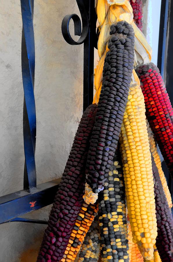 Colorful Corn I Photograph by Jan Amiss Photography
