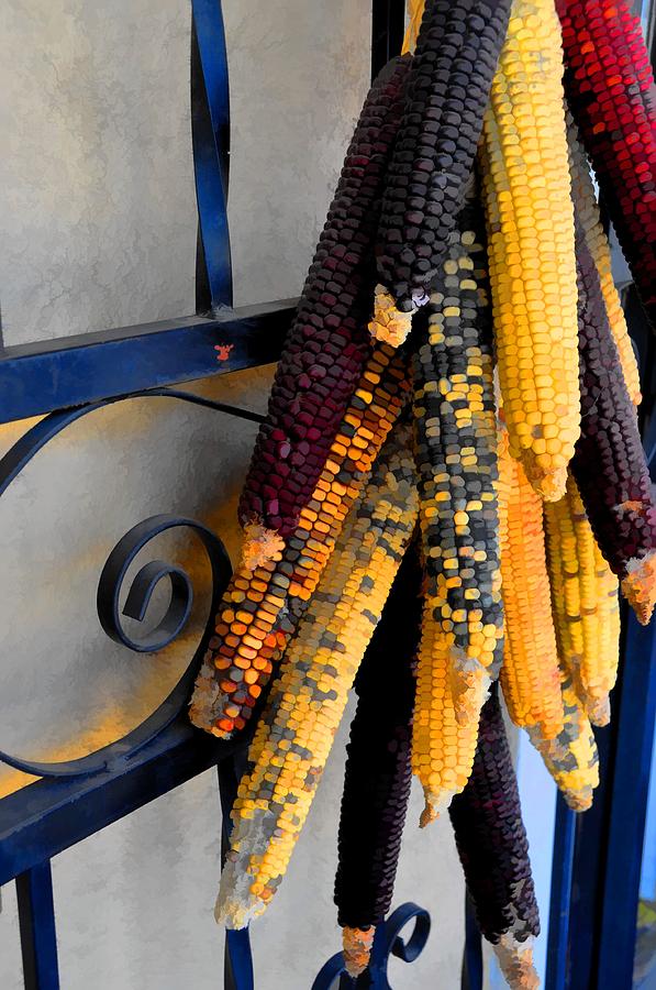 Colorful Corn II Photograph by Jan Amiss Photography