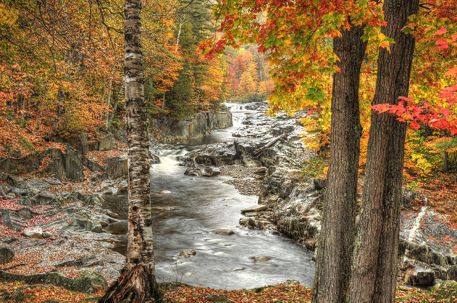 Colorful Creek Photograph by Richard Gehlbach