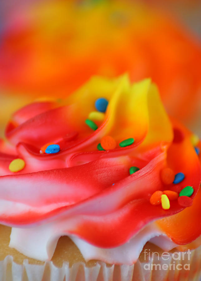 Colorful Cup Cake Photograph by Darren Fisher