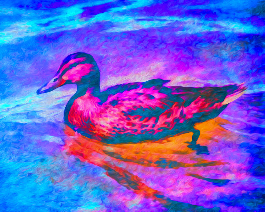 Duck Digital Art - Colorful Duck Art by Priya Ghose by Priya Ghose