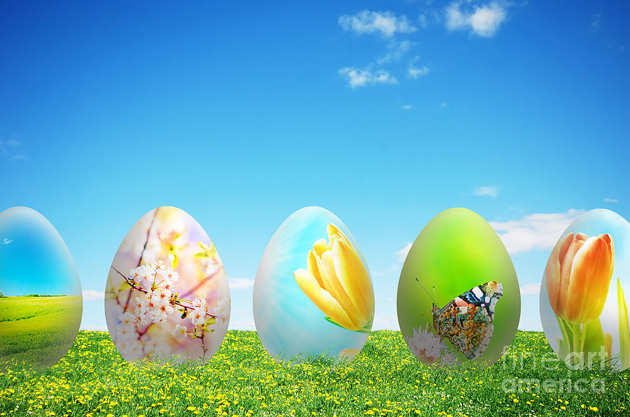 Colorful Easter Eggs In Nature Photograph