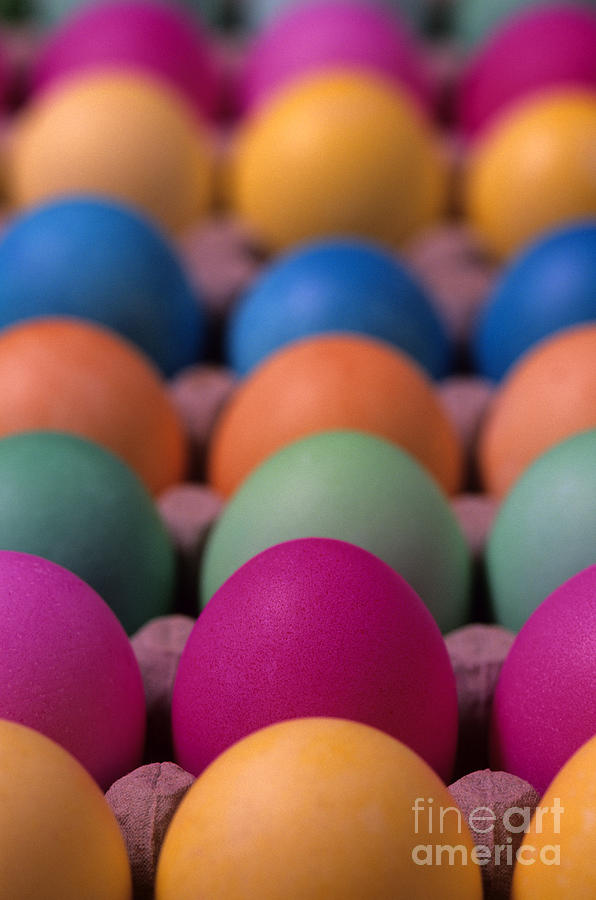 Colorful Easter eggs Photograph by Jim Corwin