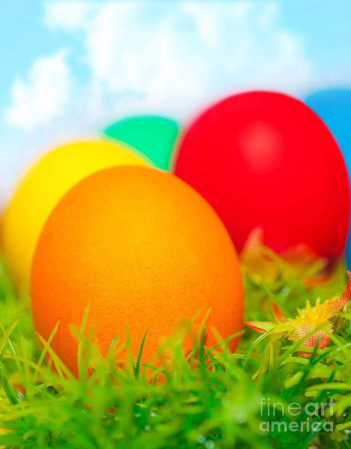 Colorful eggs on green grass Photograph by Anna Om