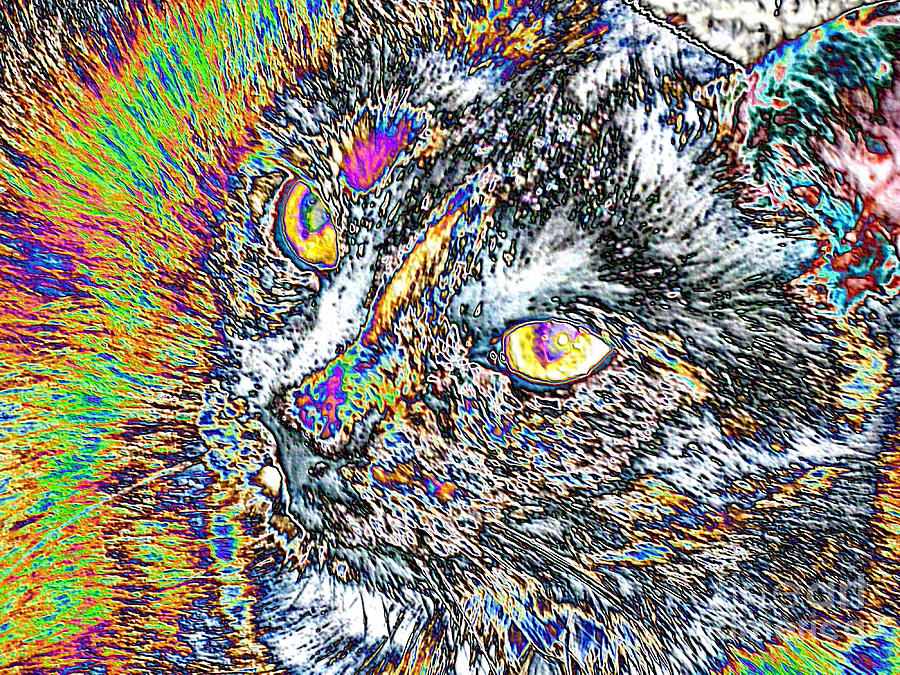 Colorful face of cat Digital Art by Oksana Semenchenko