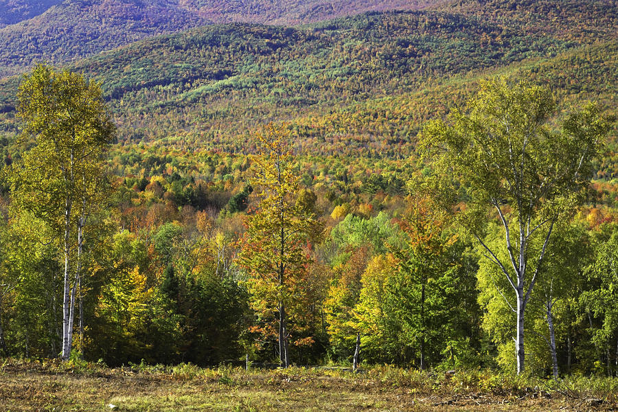Fall Photograph - Colorful Fall Landscape From Center Hill in Weld Maine by Keith Webber Jr