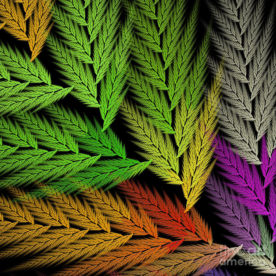 Colorful Feather Fern - Abstract - Fractal Art - Square - 1 TL Digital Art by Andee Design
