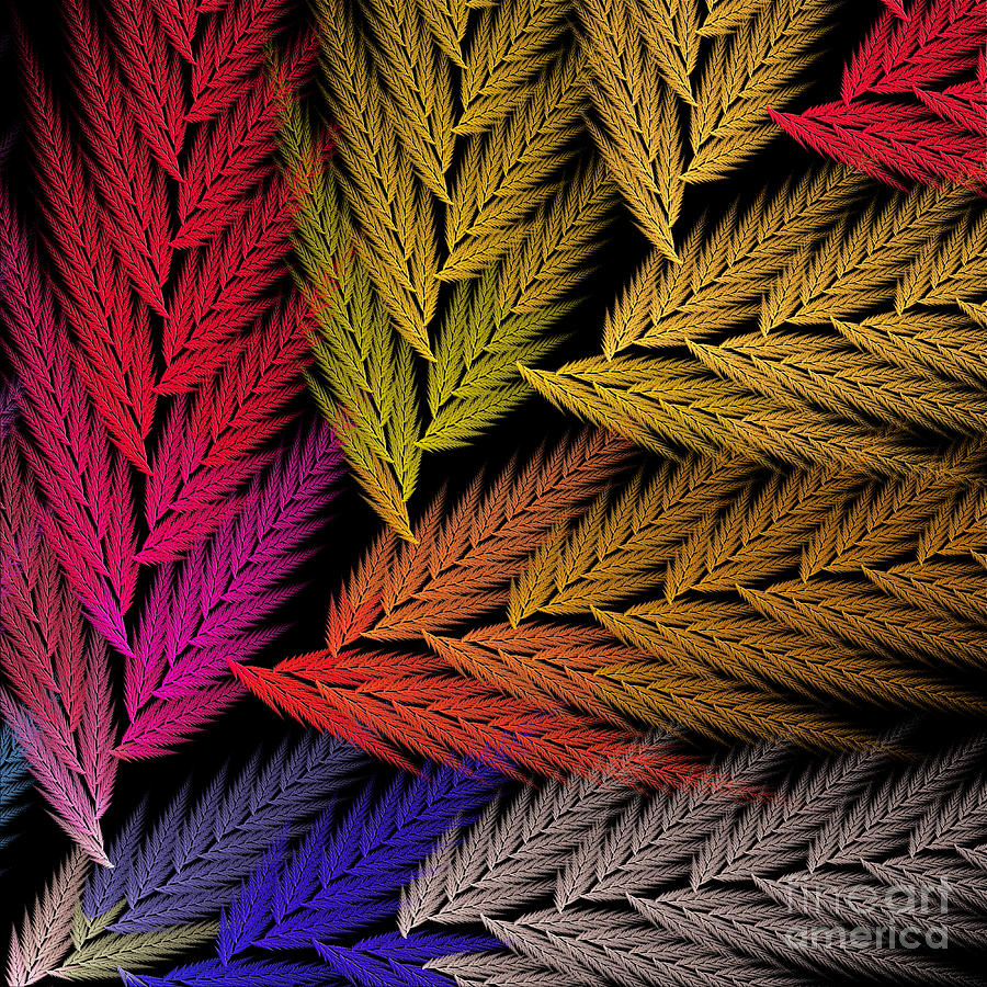 Colorful Feather Fern - Abstract - Fractal Art - Square - 2 TR Digital Art by Andee Design