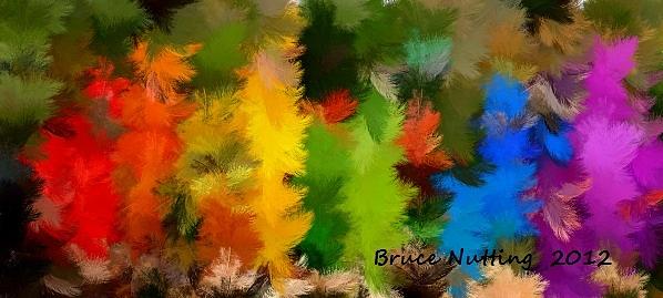 Colorful Feathers Painting by Bruce Nutting